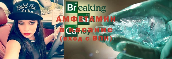 гашик Пестово
