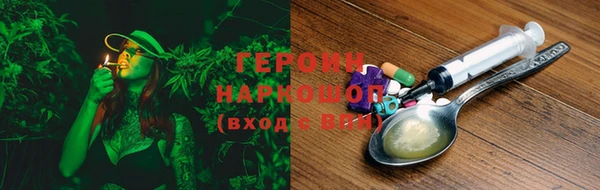 гашик Пестово