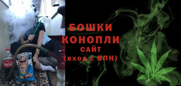 гашик Пестово