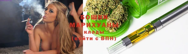 гашик Осинники