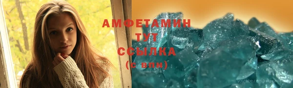прущие грибы Пересвет