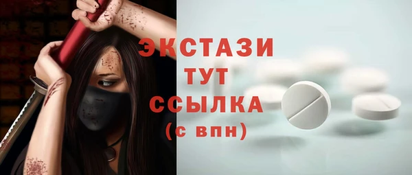 гашик Осинники