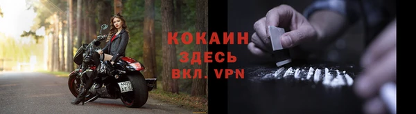 гашик Осинники