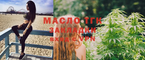 гашик Пестово