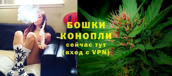 гашик Осинники