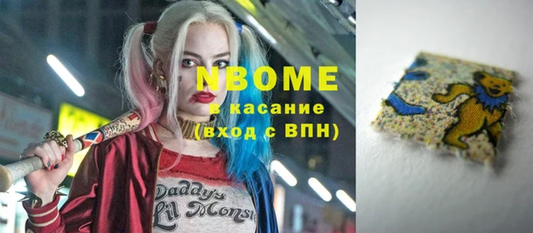 гашик Пестово