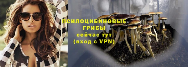 прущие грибы Пересвет