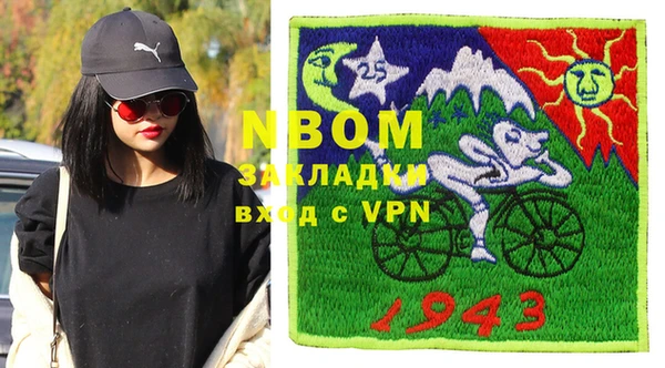 прущие грибы Пересвет