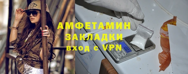прущие грибы Пересвет