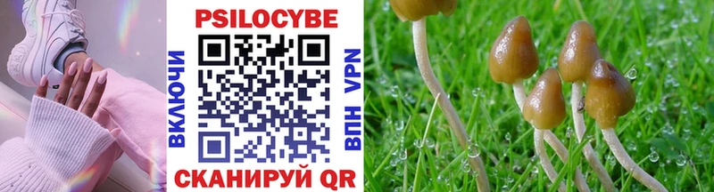 купить наркотик  Анжеро-Судженск  Галлюциногенные грибы GOLDEN TEACHER 