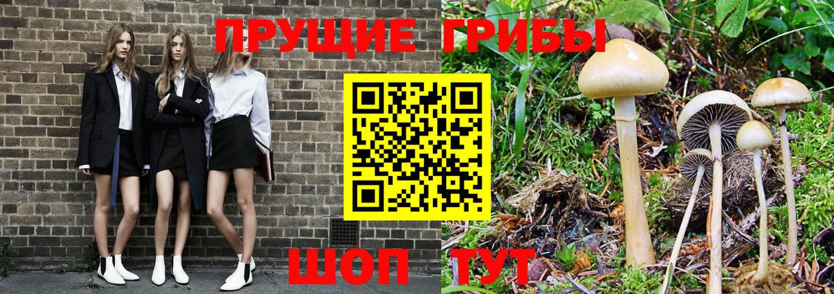 Галлюциногенные грибы Magic Shrooms Анжеро-Судженск