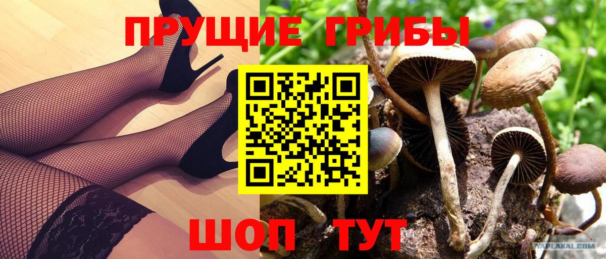 Меф МЯУ МЯУ   ГАШ  Анжеро-Судженск  Гашиш  Меф  Вход с VPN  НБОМе 