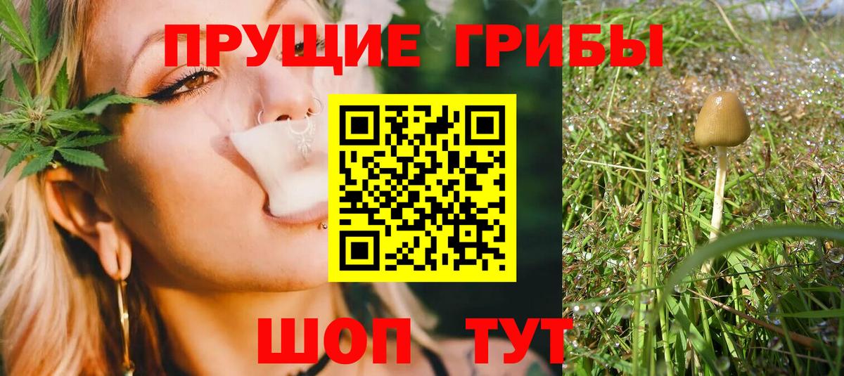 Анжеро-Судженск  Галлюциногенные грибы GOLDEN TEACHER  Вход с VPN 