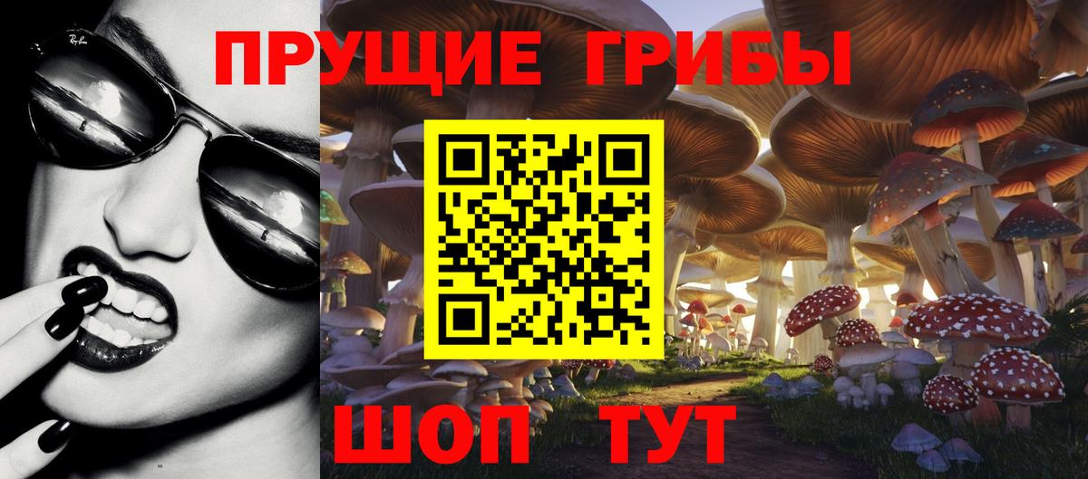 Псилоцибиновые грибы GOLDEN TEACHER  Анжеро-Судженск  Галлюциногенные грибы мицелий 