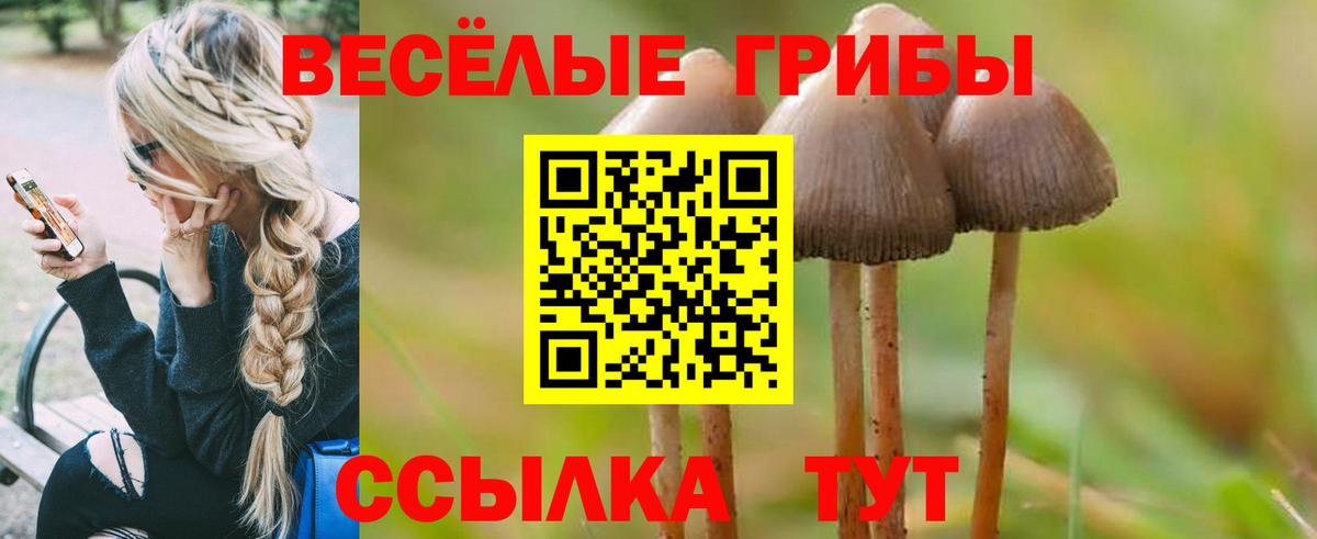 Галлюциногенные грибы Cubensis Анжеро-Судженск