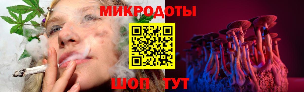 Галлюциногенные грибы мухоморы Анжеро-Судженск